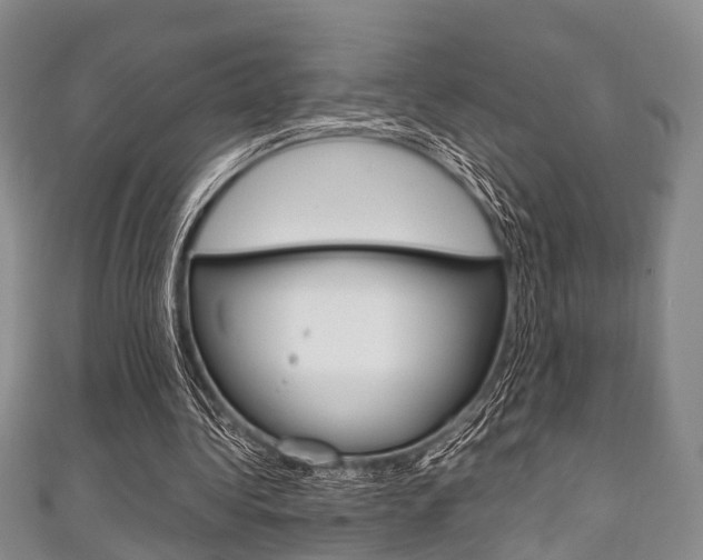 X0000111920340200907271014