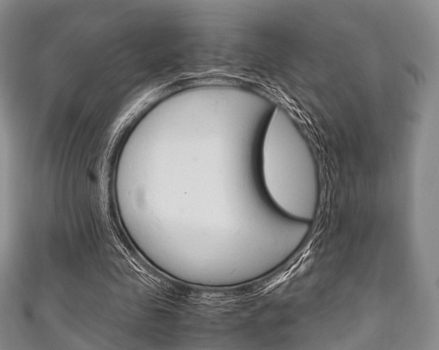 X0000111920341200907271014