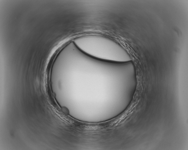 X0000111920342200907271014