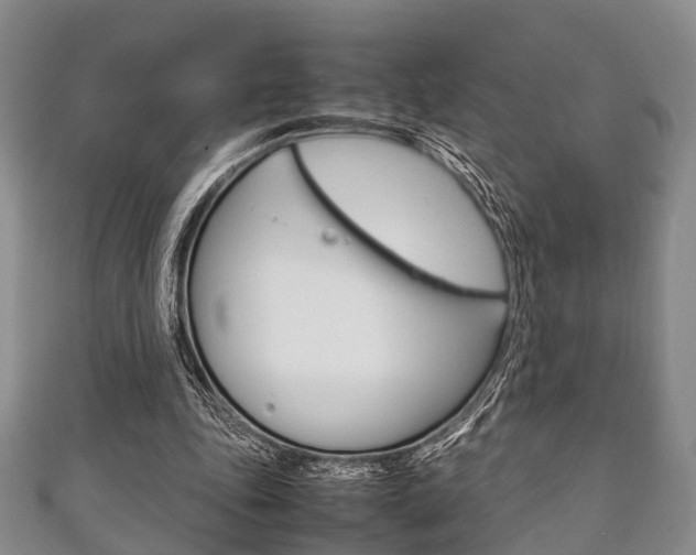 X0000111920343200907271014