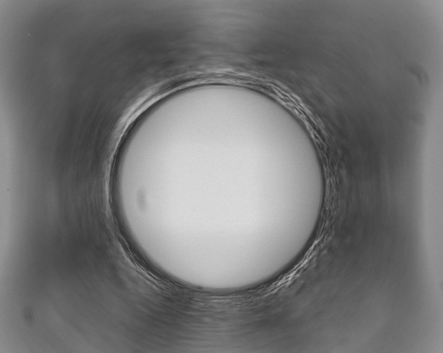 X0000111920344200907271014
