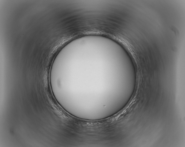 X0000111920345200907271014