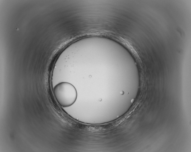 X0000111920346200907271014