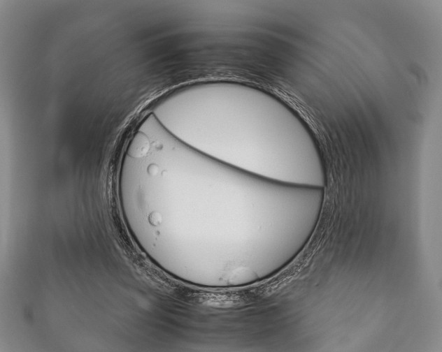 X0000111920347200907271014