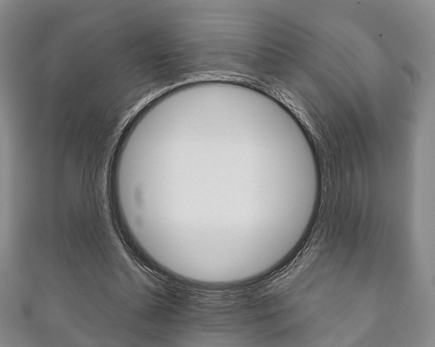 X0000111920348200907271014