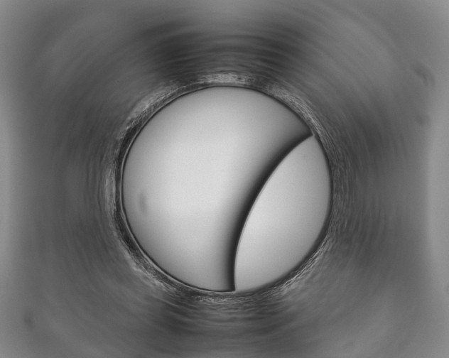 X0000111920349200907271014