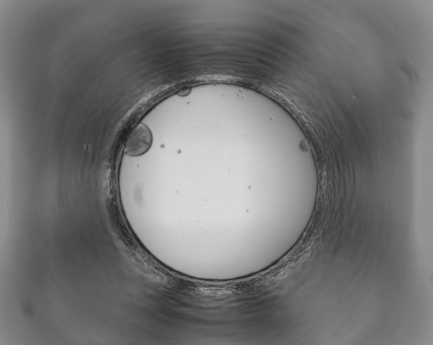 X0000111920351200907271014