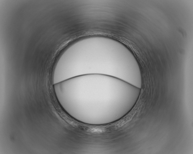 X0000111920352200907271014