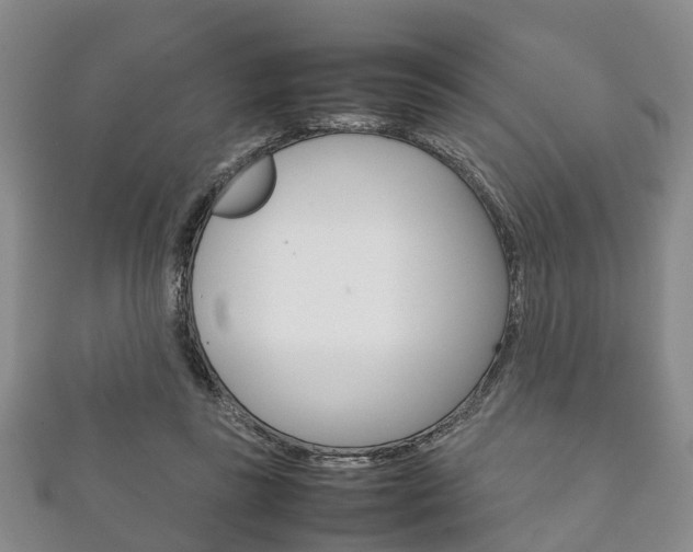 X0000111920355200907271014