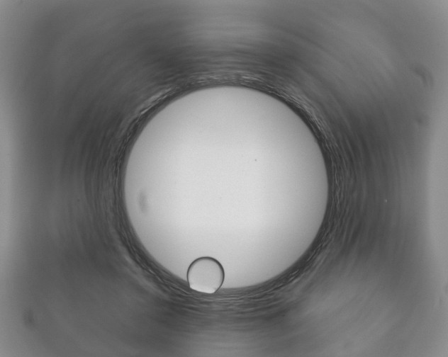 X0000111920356200907271014