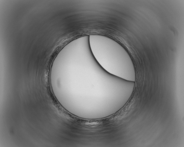 X0000111920357200907271014