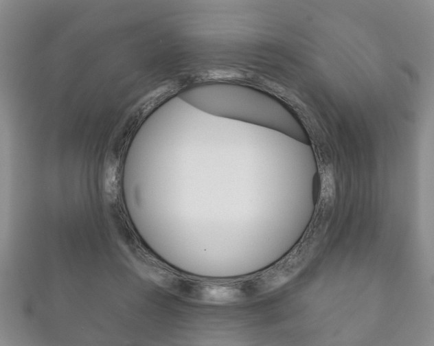 X0000111920360200907271014