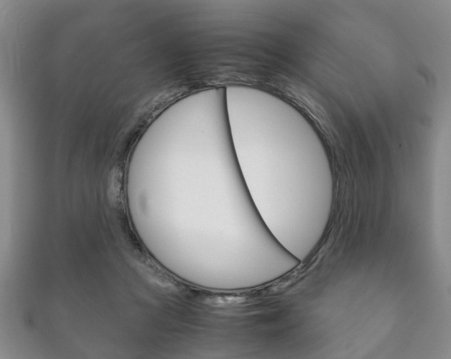 X0000111920361200907271014