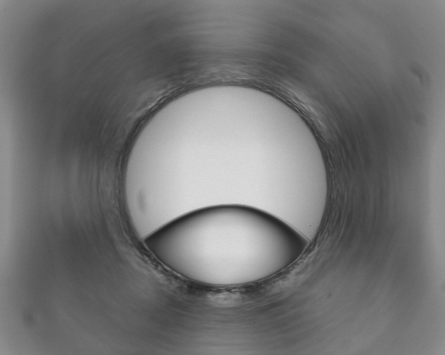 X0000111920362200907271014