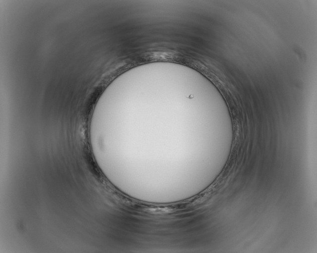 X0000111920363200907271014
