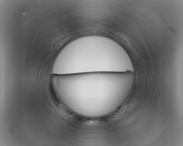 X0000111920364200907271014