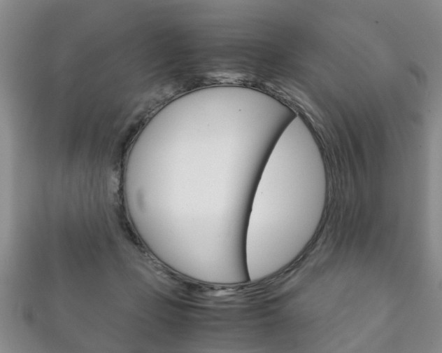 X0000111920365200907271014