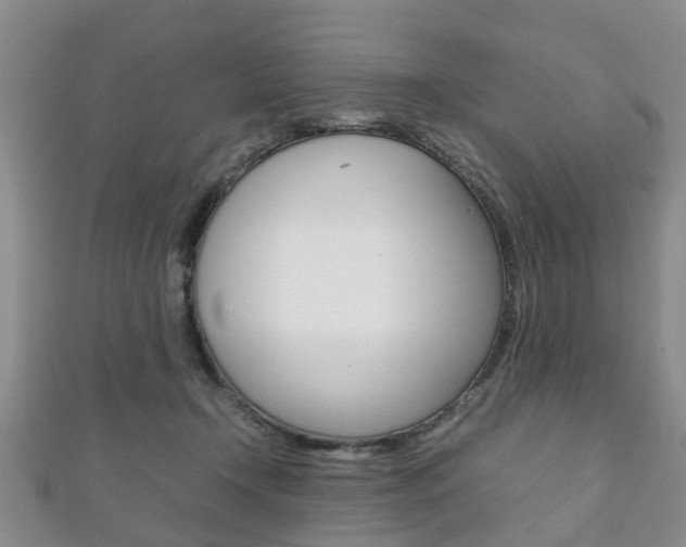 X0000111920366200907271014