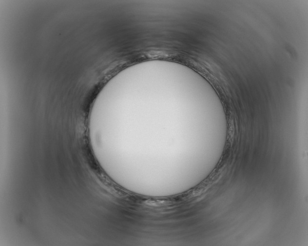 X0000111920367200907271014