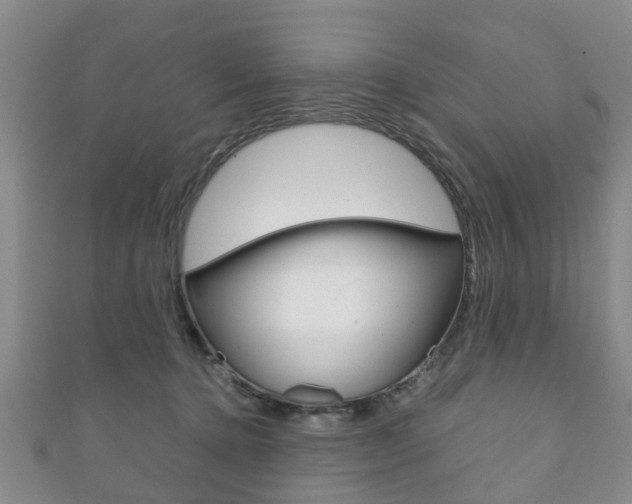 X0000111920368200907271014