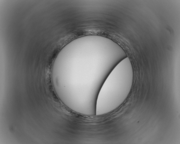 X0000111920369200907271014