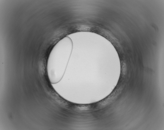 X0000111920370200907271014