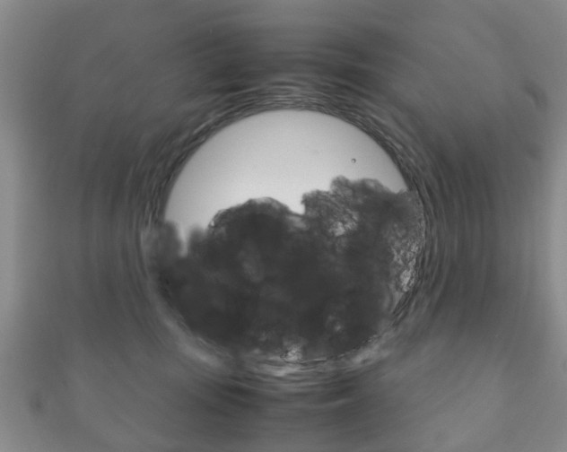 X0000111920371200907271014