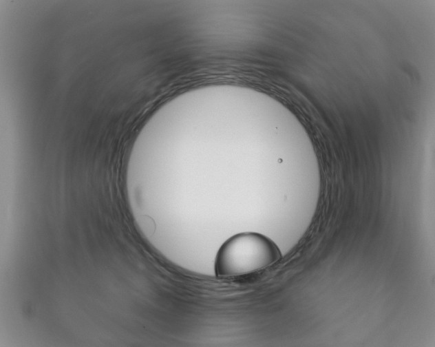 X0000111920372200907271014