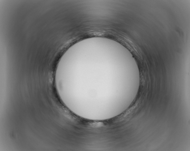 X0000111920374200907271014