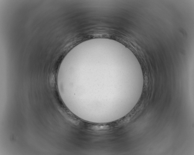 X0000111920375200907271014