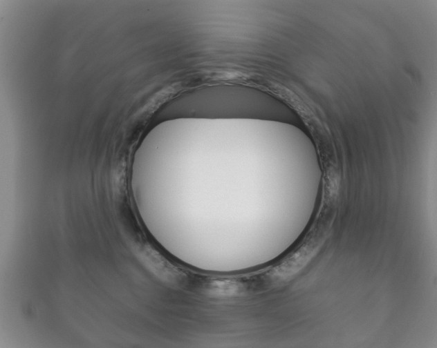 X0000111920376200907271014