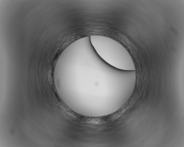 X0000111920377200907271014