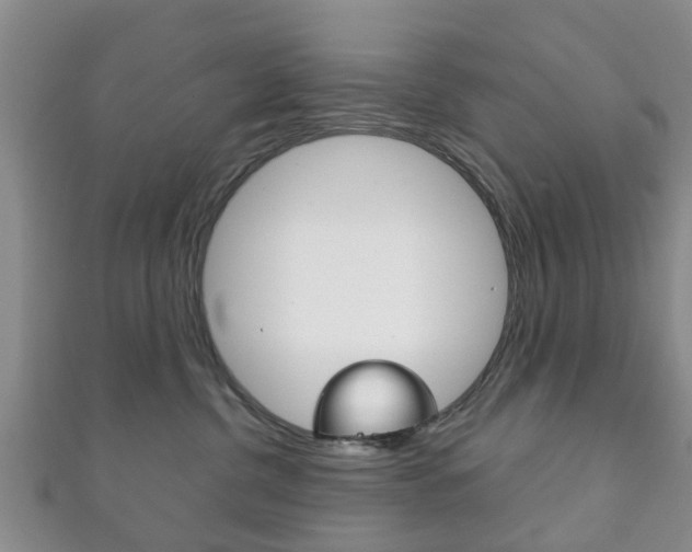 X0000111920380200907271014