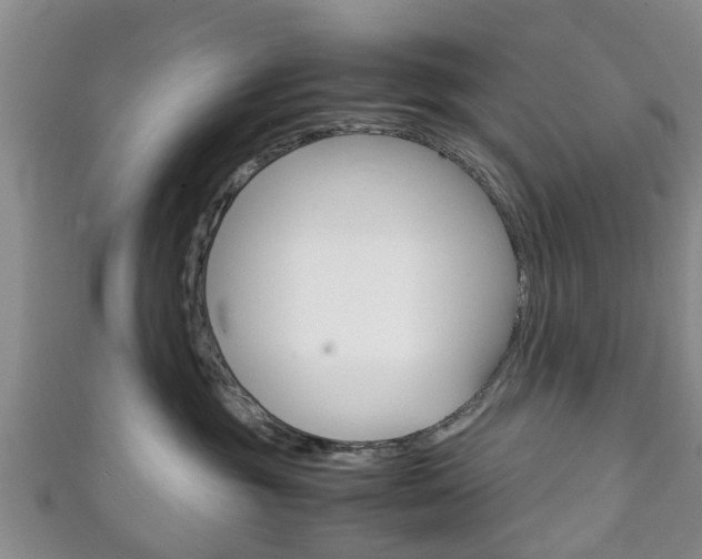 X0000111920381200907271014