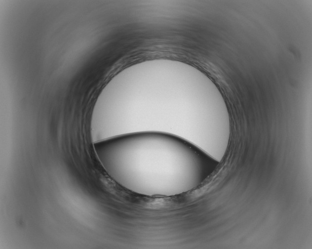 X0000111920382200907271014