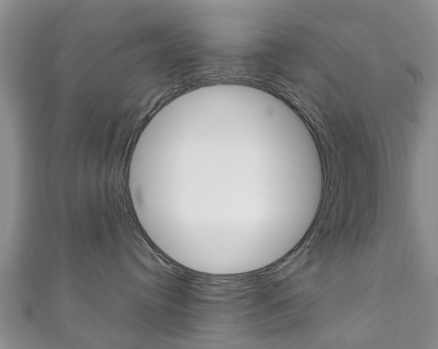 X0000111920384200907271014