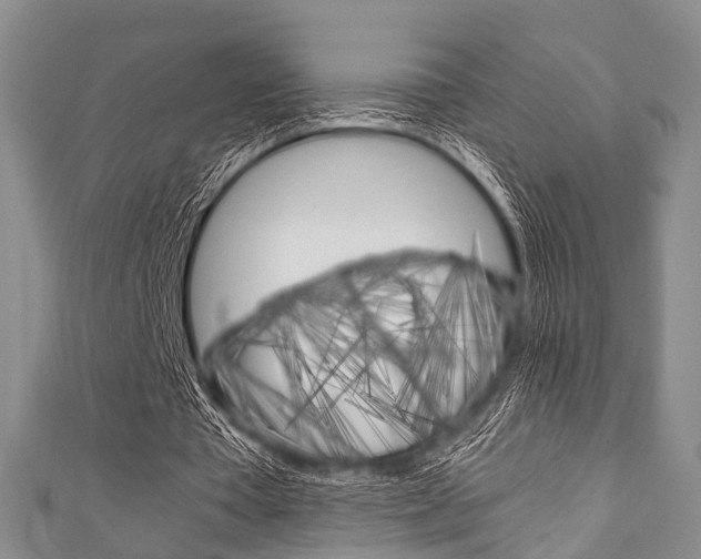 X0000111920385200907271014