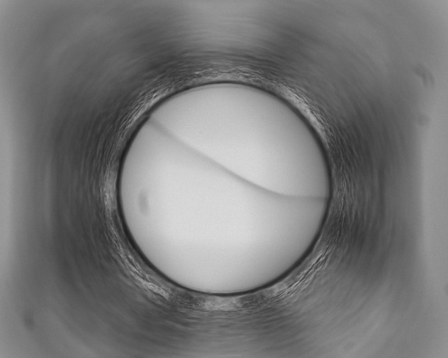 X0000111920386200907271014