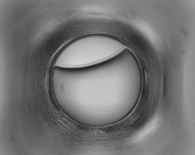 X0000111920387200907271014