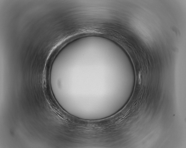 X0000111920388200907271014