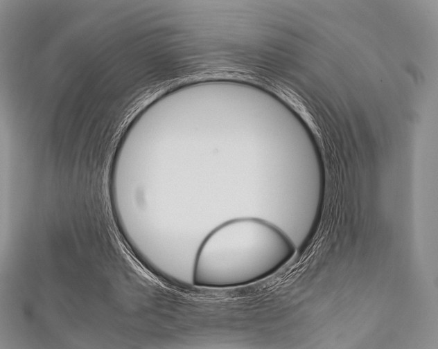 X0000111920389200907271014