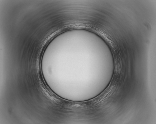 X0000111920390200907271014