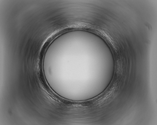 X0000111920392200907271014