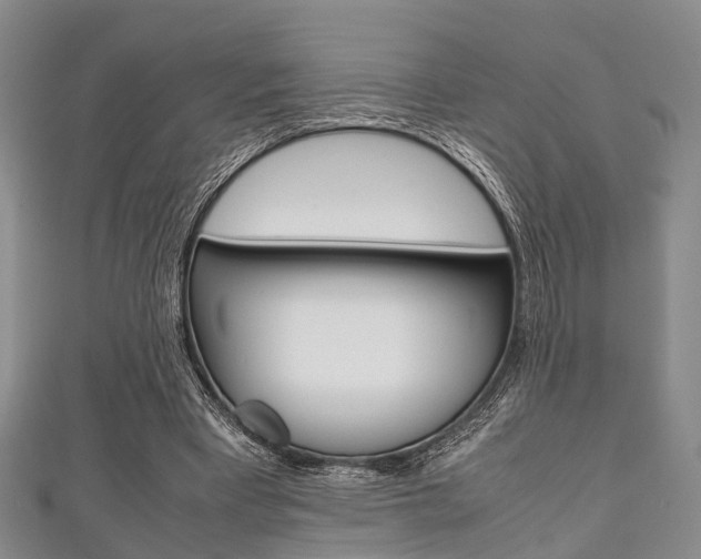 X0000111920393200907271013