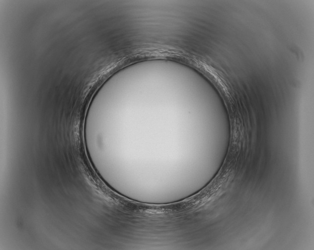 X0000111920394200907271013