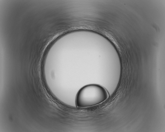 X0000111920395200907271013