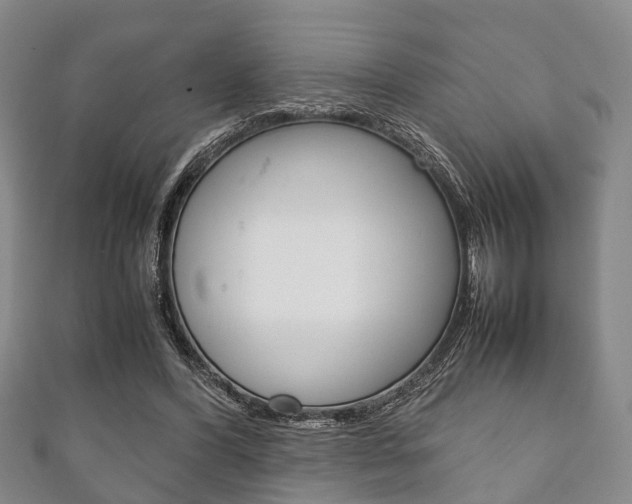 X0000111920396200907271013