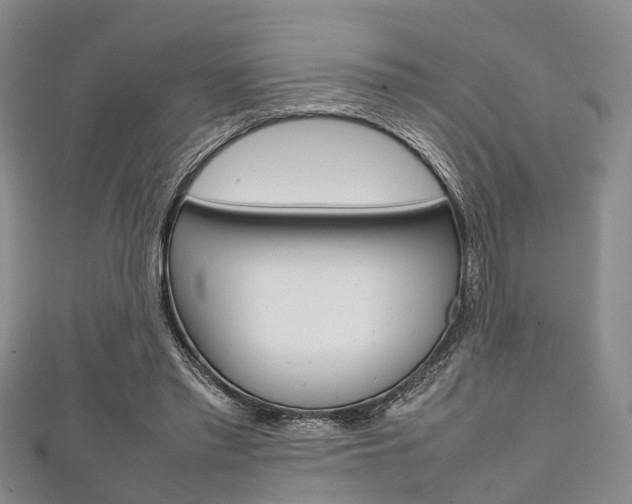 X0000111920397200907271013
