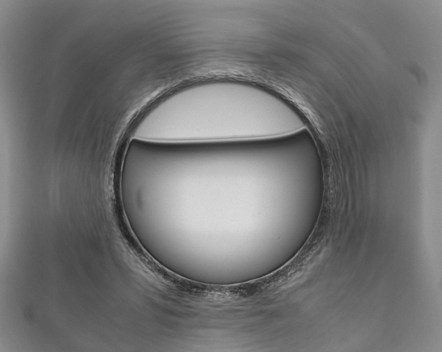 X0000111920399200907271013
