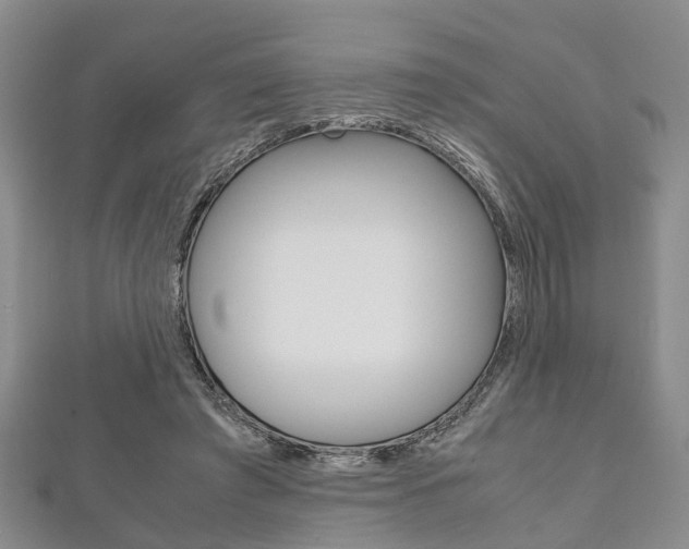 X0000111920401200907271013